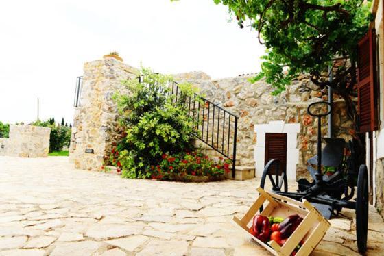 Holiday Home Finca Son Ramon Llubí Εξωτερικό φωτογραφία